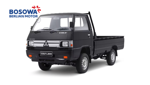 L300
